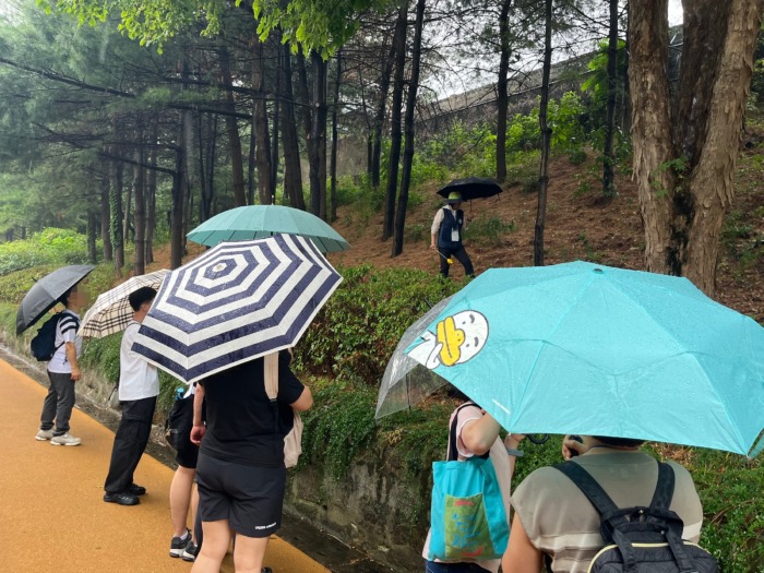 우산을 쓰고 나무를 설명하는 숲해설사 선생님을 바라보고 있습니다.