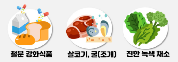 철분1.png