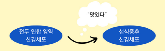 화면 캡처 2024-11-12 104038.png